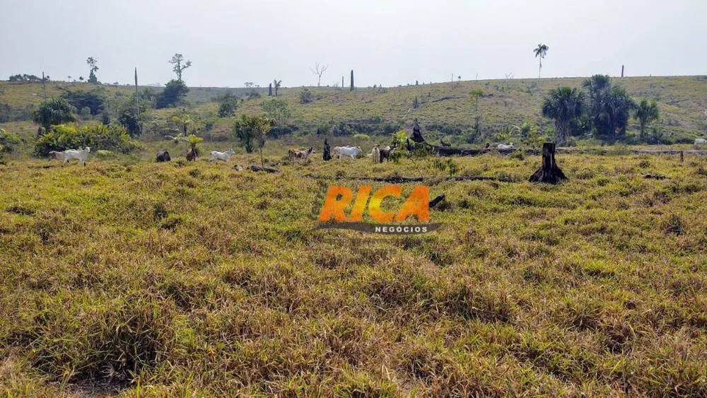 Fazenda, 3937 hectares - Foto 8
