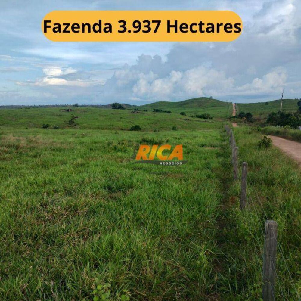 Fazenda, 3937 hectares - Foto 1