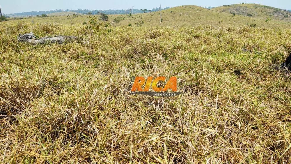 Fazenda, 3937 hectares - Foto 11