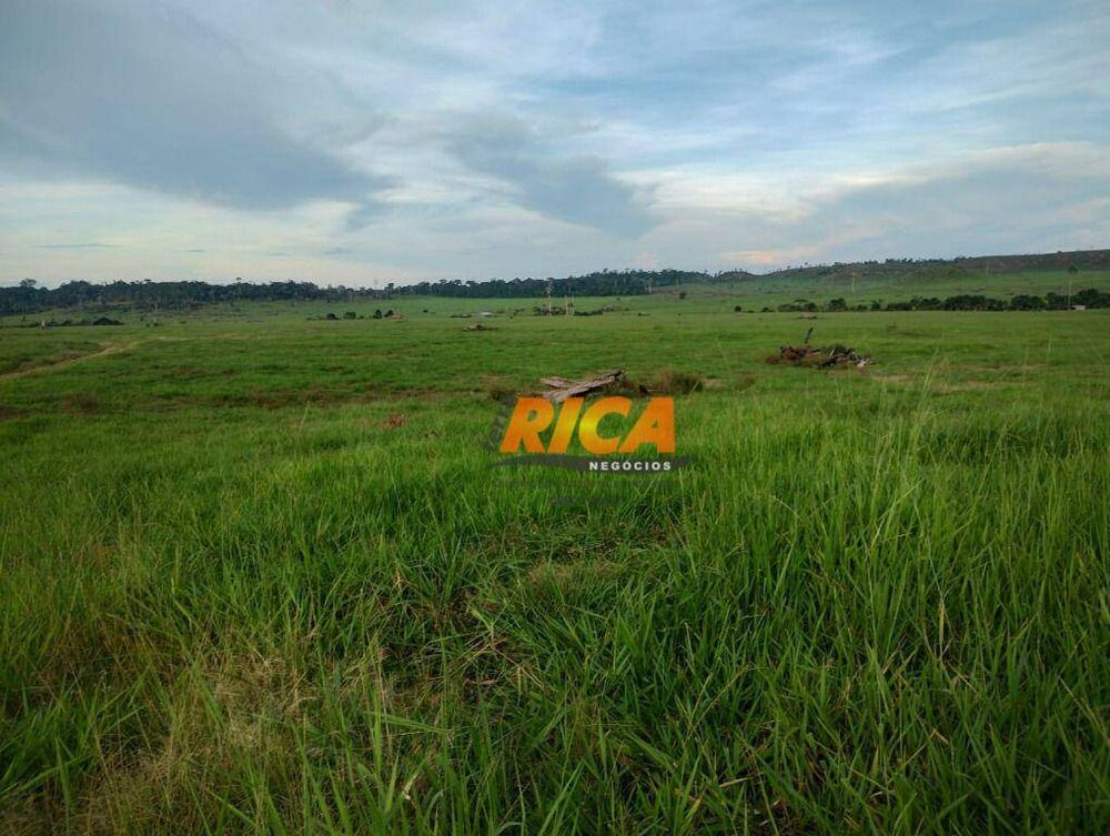 Fazenda, 3937 hectares - Foto 2