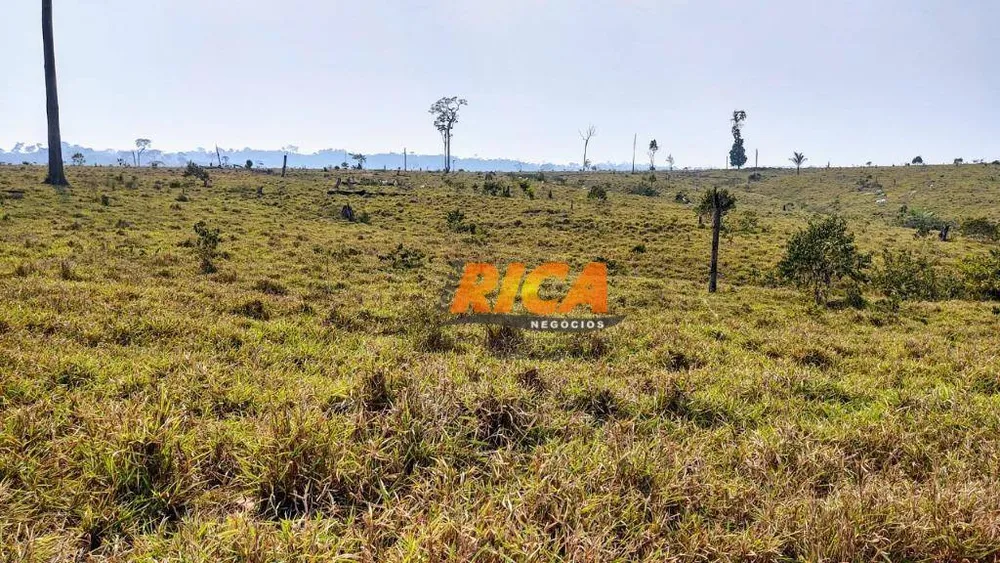 Fazenda, 3937 hectares - Foto 7