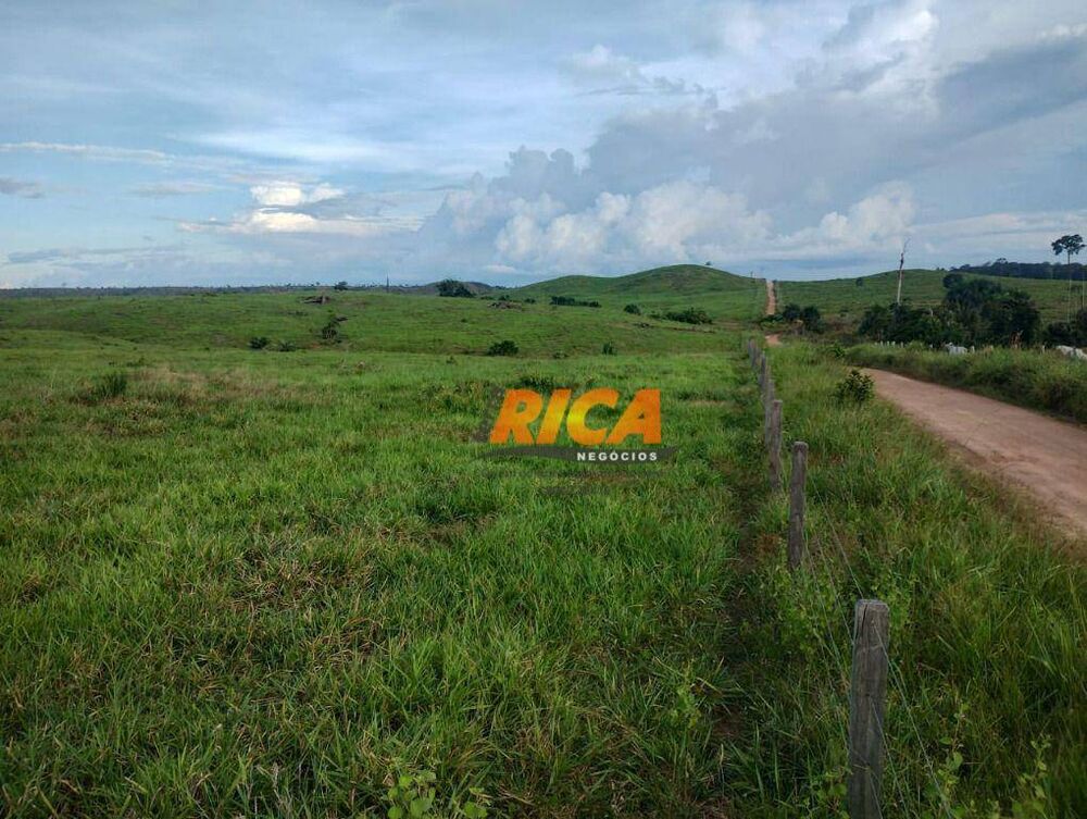Fazenda, 3937 hectares - Foto 3