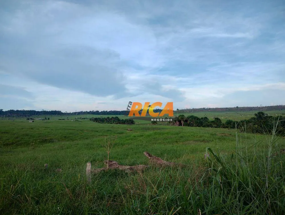 Fazenda, 3937 hectares - Foto 5