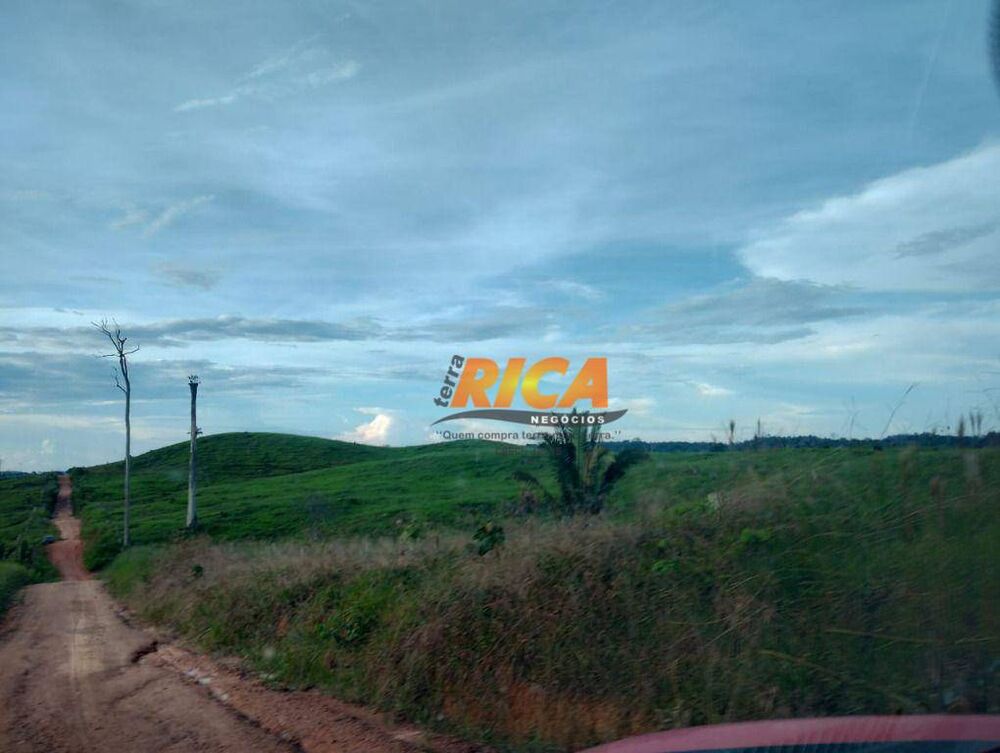 Fazenda, 3937 hectares - Foto 4