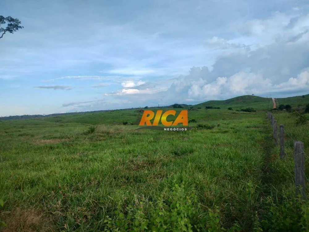 Fazenda, 3937 hectares - Foto 6