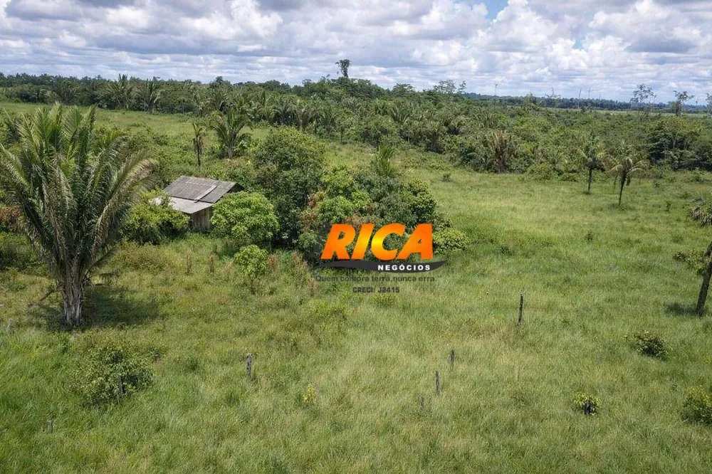 Sítio, 24 hectares - Foto 3