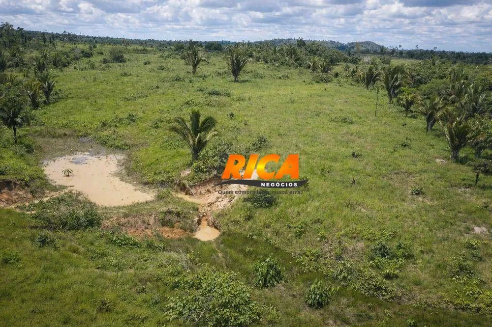 Sítio, 24 hectares - Foto 4