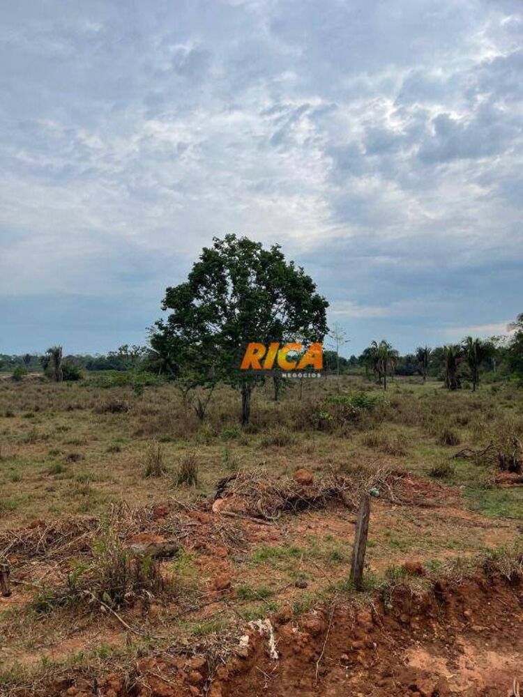 Sítio, 35 hectares - Foto 4