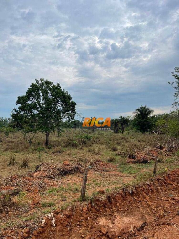 Sítio, 35 hectares - Foto 3