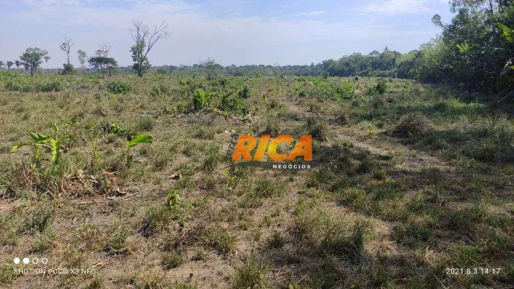 Fazenda, 685 hectares - Foto 7