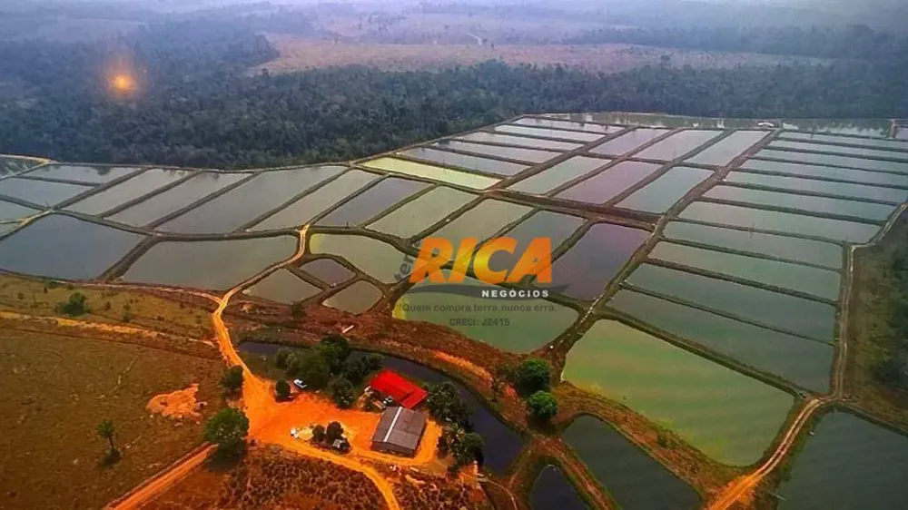 Fazenda, 118 hectares - Foto 4