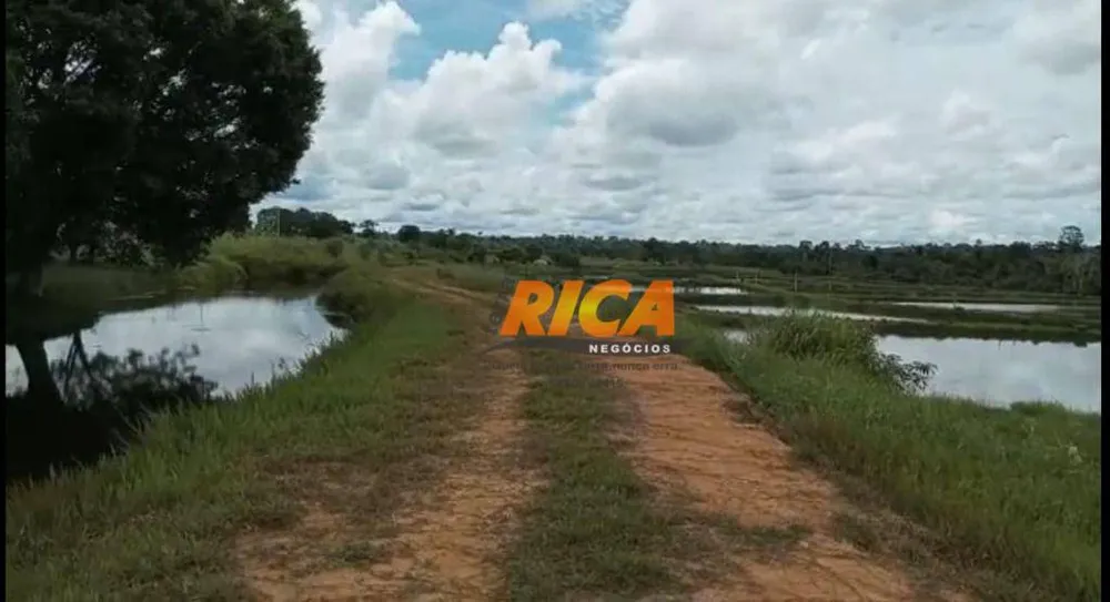 Fazenda, 118 hectares - Foto 10
