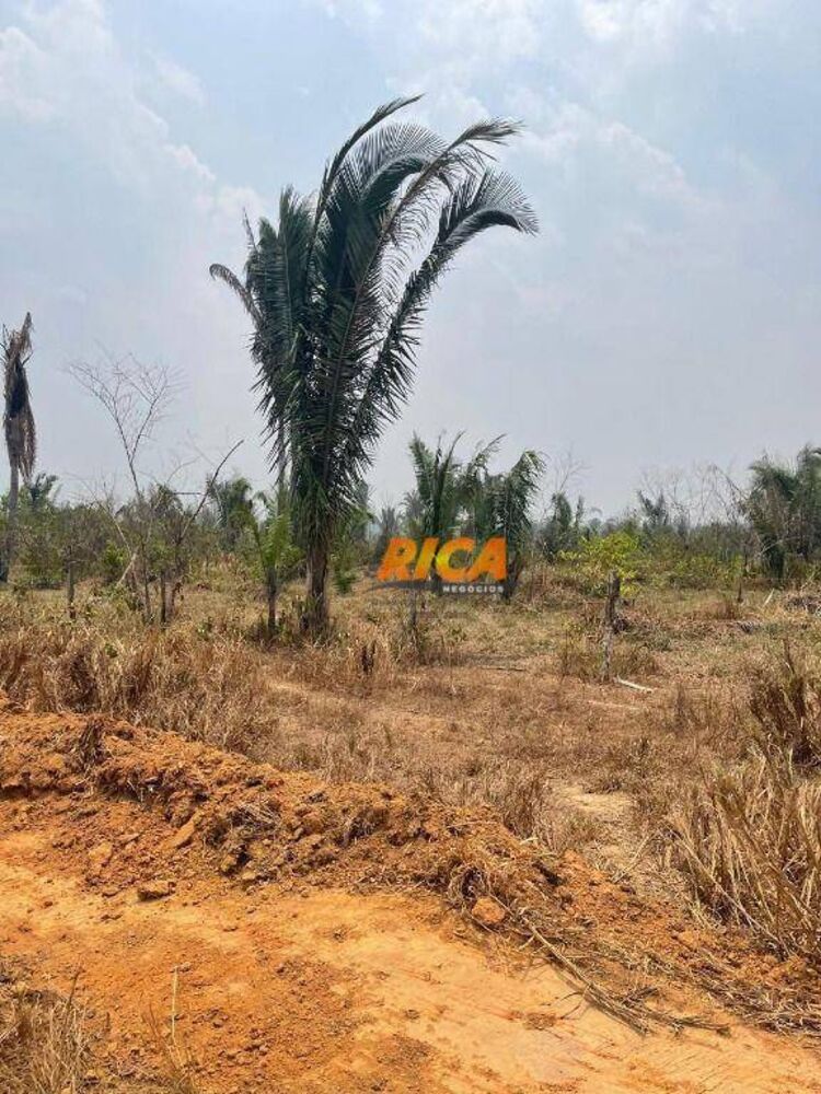 Sítio, 47 hectares - Foto 2