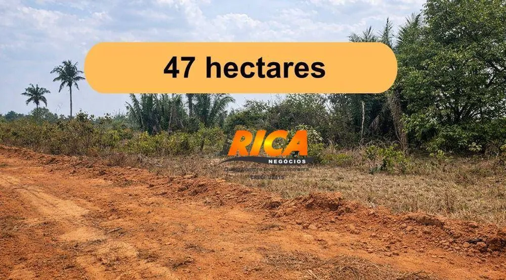 Sítio, 47 hectares - Foto 2