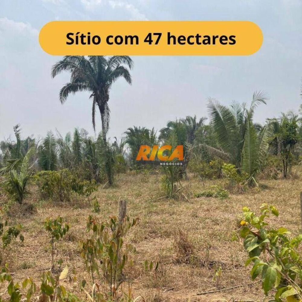 Sítio, 47 hectares - Foto 1