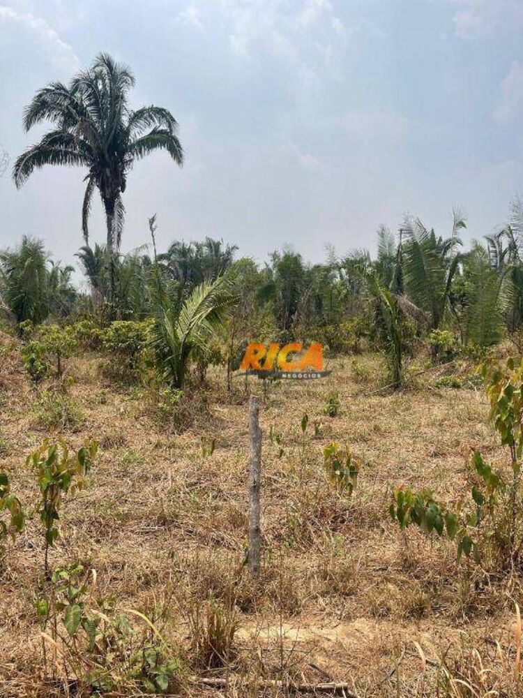 Sítio, 47 hectares - Foto 4