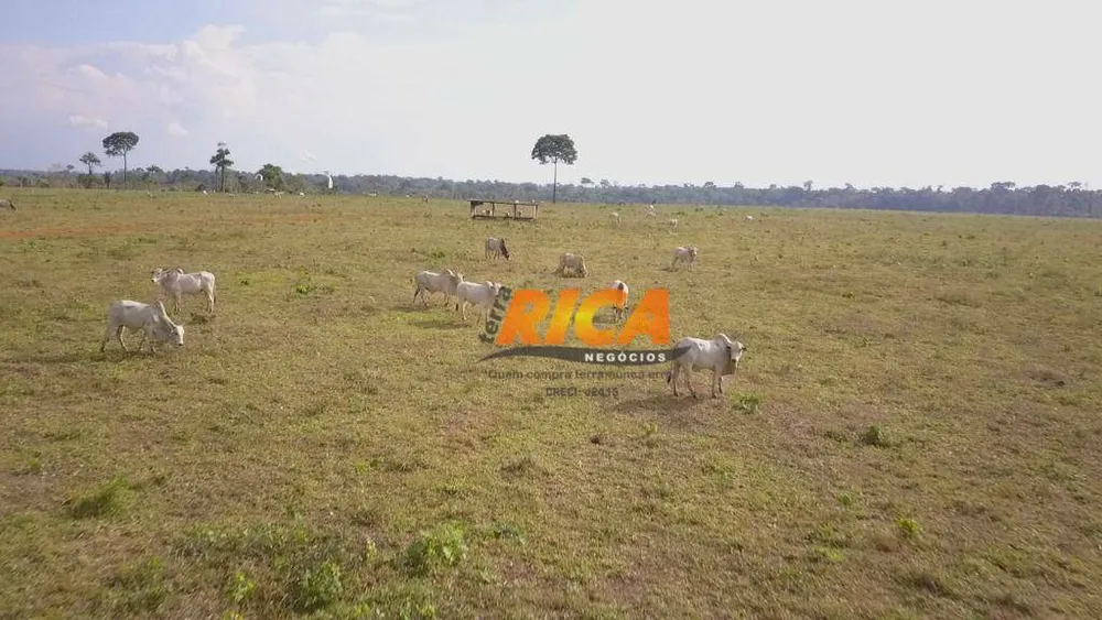 Fazenda, 1000 hectares - Foto 2