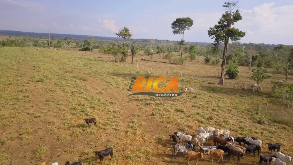 Fazenda, 1000 hectares - Foto 4