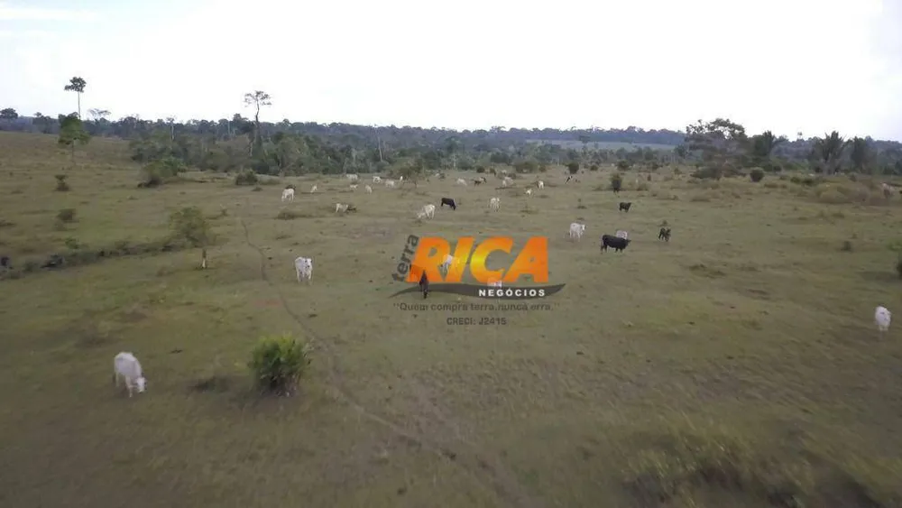 Fazenda, 1000 hectares - Foto 10
