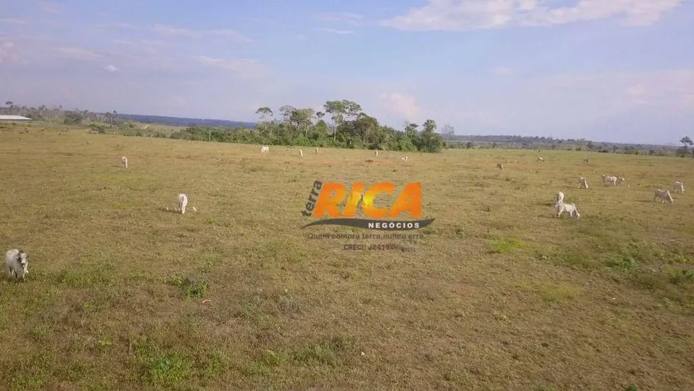 Fazenda, 1000 hectares - Foto 12