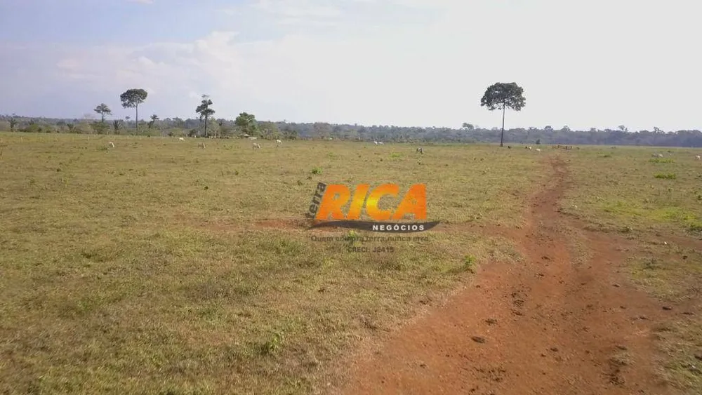 Fazenda, 1000 hectares - Foto 3
