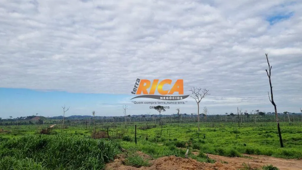 Fazenda, 3986 hectares - Foto 7