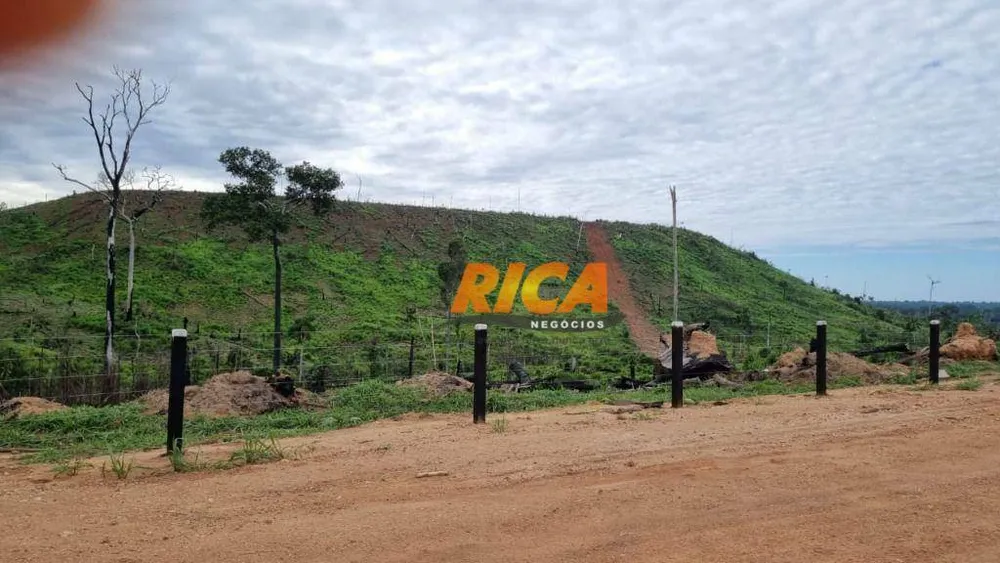 Fazenda, 3986 hectares - Foto 8