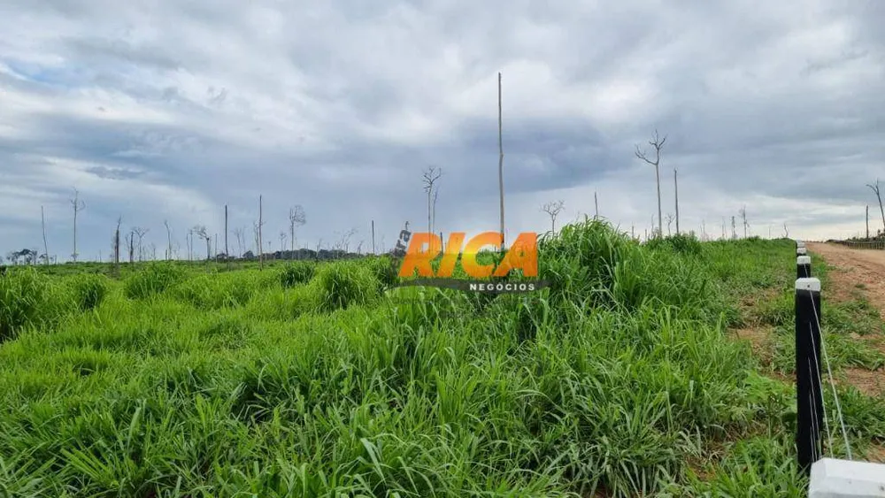 Fazenda, 3986 hectares - Foto 6