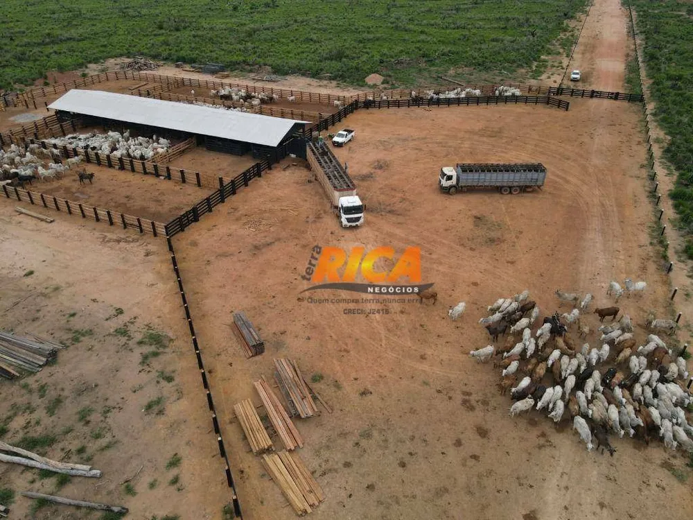 Fazenda, 3986 hectares - Foto 12