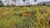 Fazenda, 3986 hectares - Foto 2