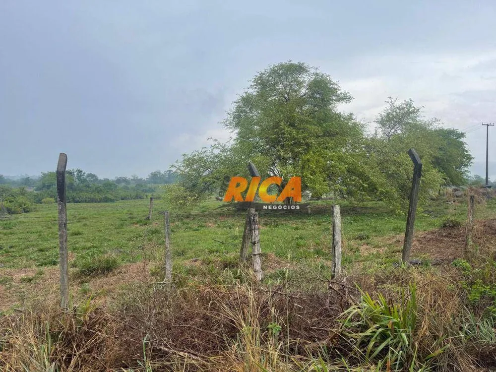 Terreno, 2 hectares - Foto 8