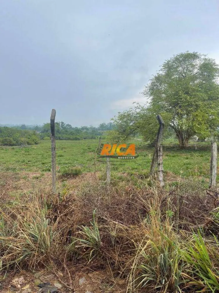 Terreno, 2 hectares - Foto 6