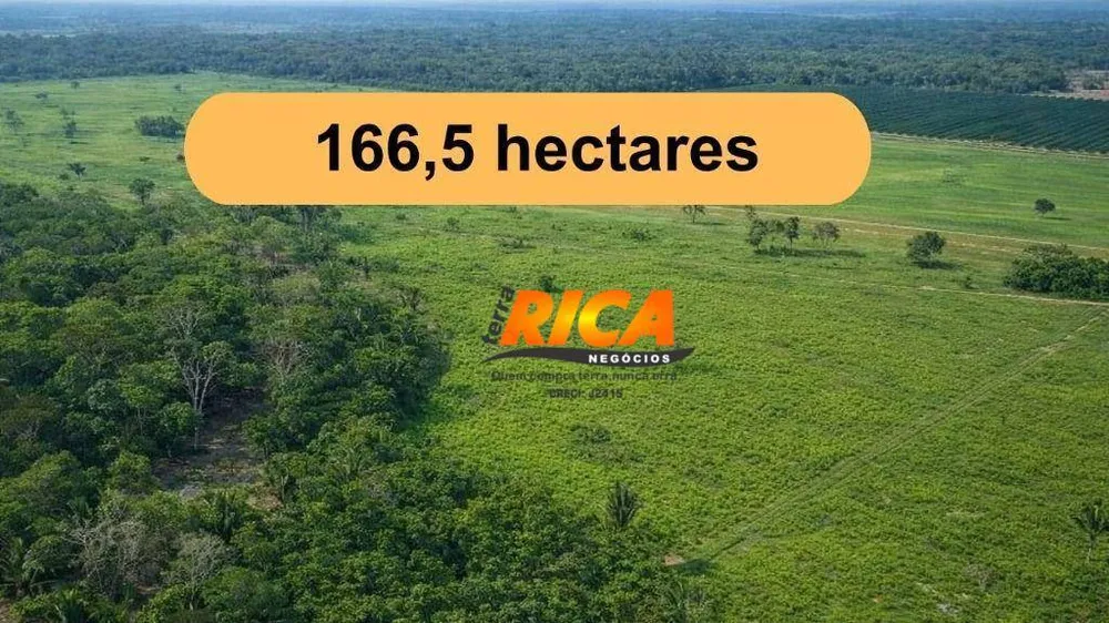 Fazenda, 167 hectares - Foto 1