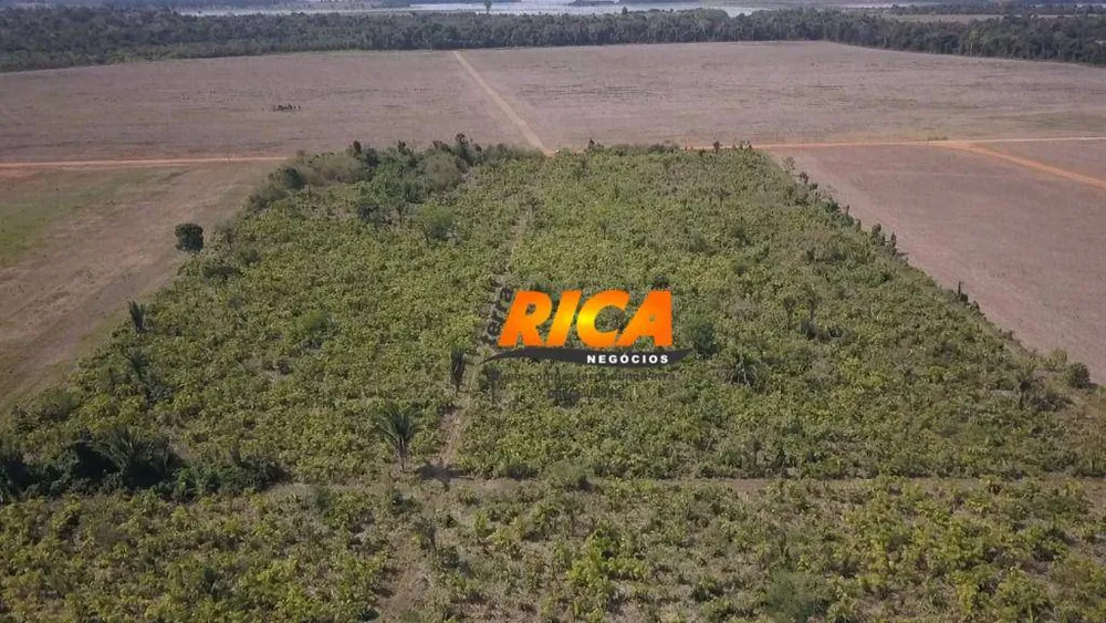 Fazenda, 150 hectares - Foto 6