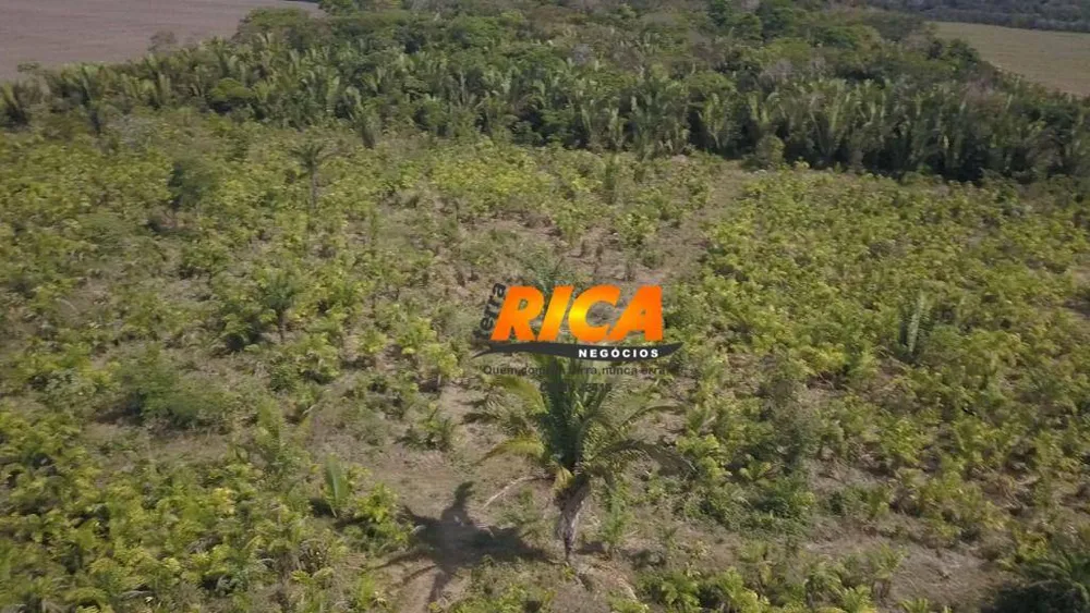 Fazenda, 150 hectares - Foto 4