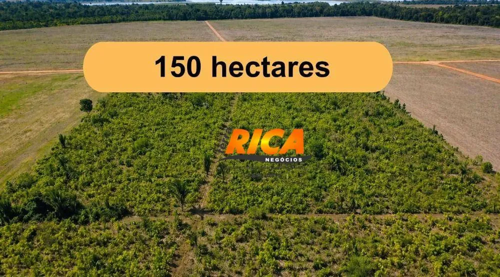 Fazenda, 150 hectares - Foto 2
