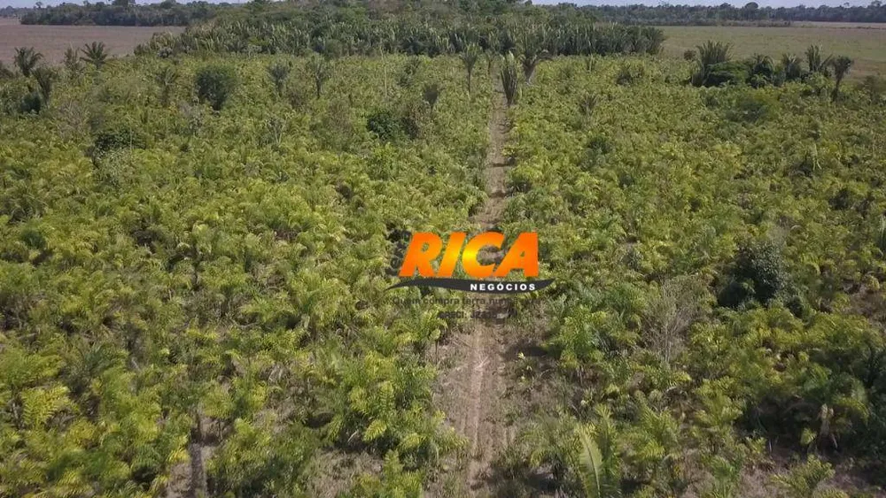 Fazenda, 150 hectares - Foto 3