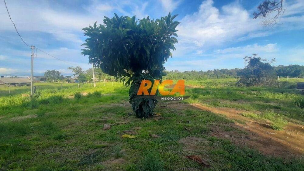 Chácara, 5820 m² - Foto 9