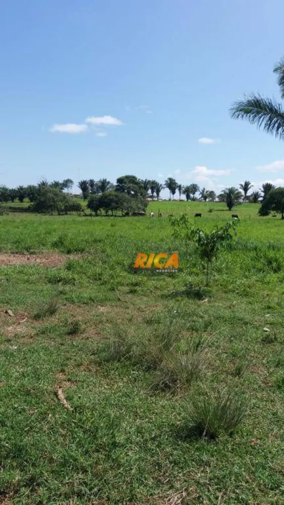 Terreno, 17 hectares - Foto 12