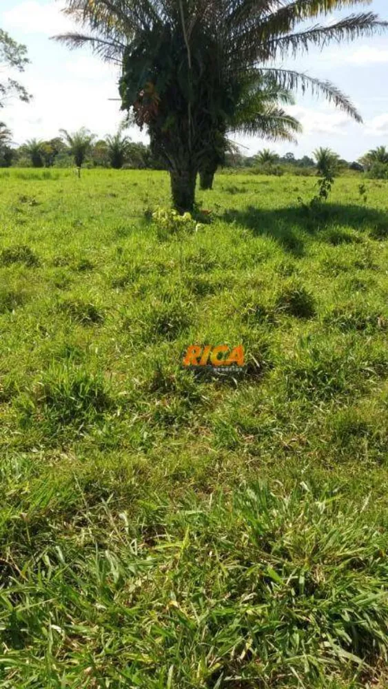 Terreno, 17 hectares - Foto 9
