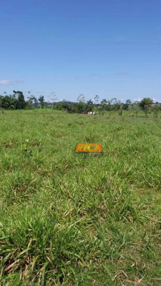 Terreno, 17 hectares - Foto 6
