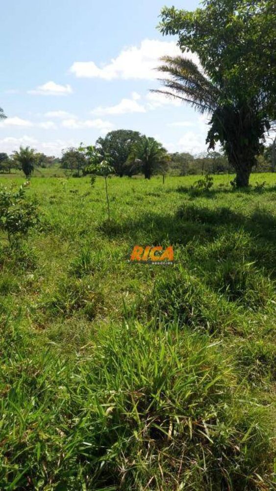 Terreno, 17 hectares - Foto 2
