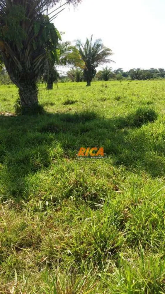 Terreno, 17 hectares - Foto 5