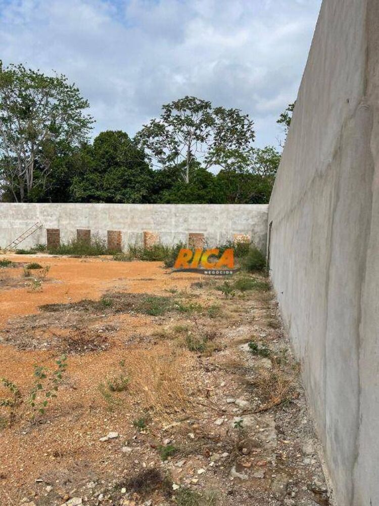 Fazenda, 6 hectares - Foto 12