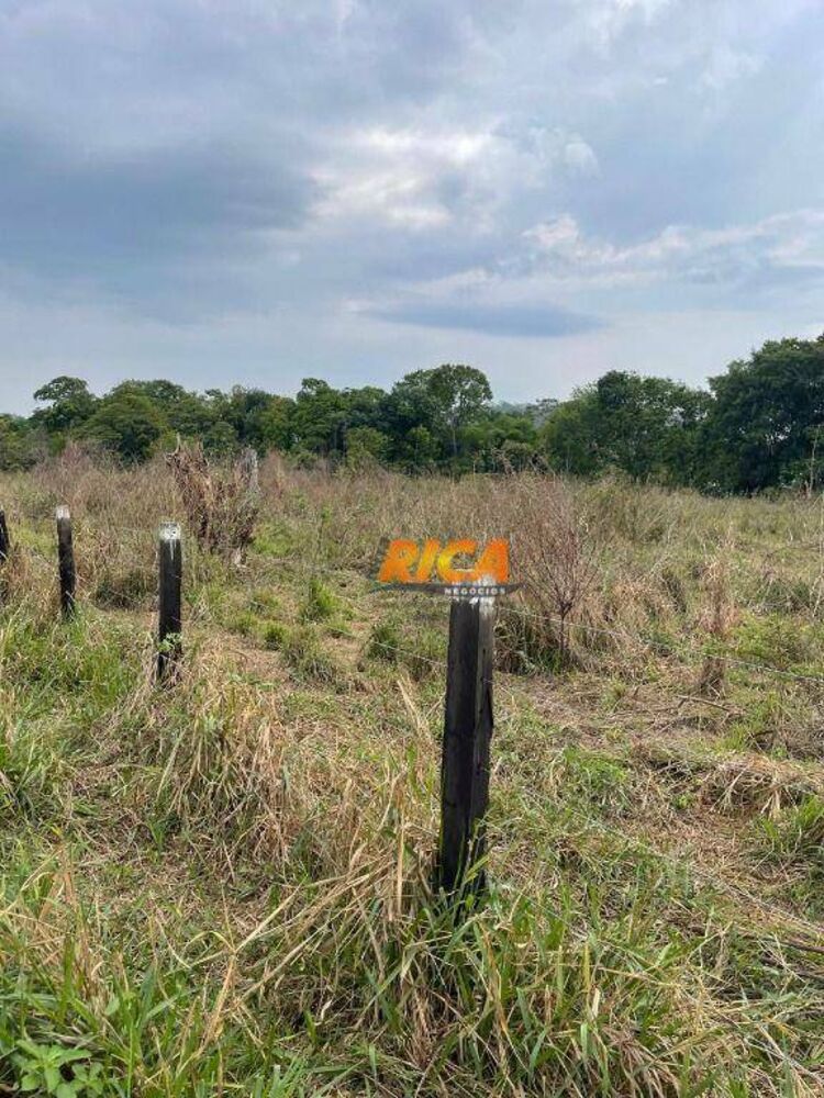 Fazenda, 6 hectares - Foto 33