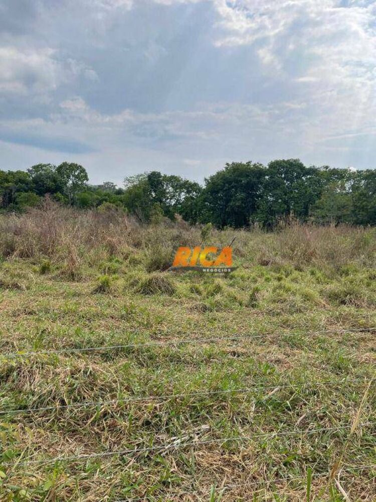 Fazenda, 6 hectares - Foto 34