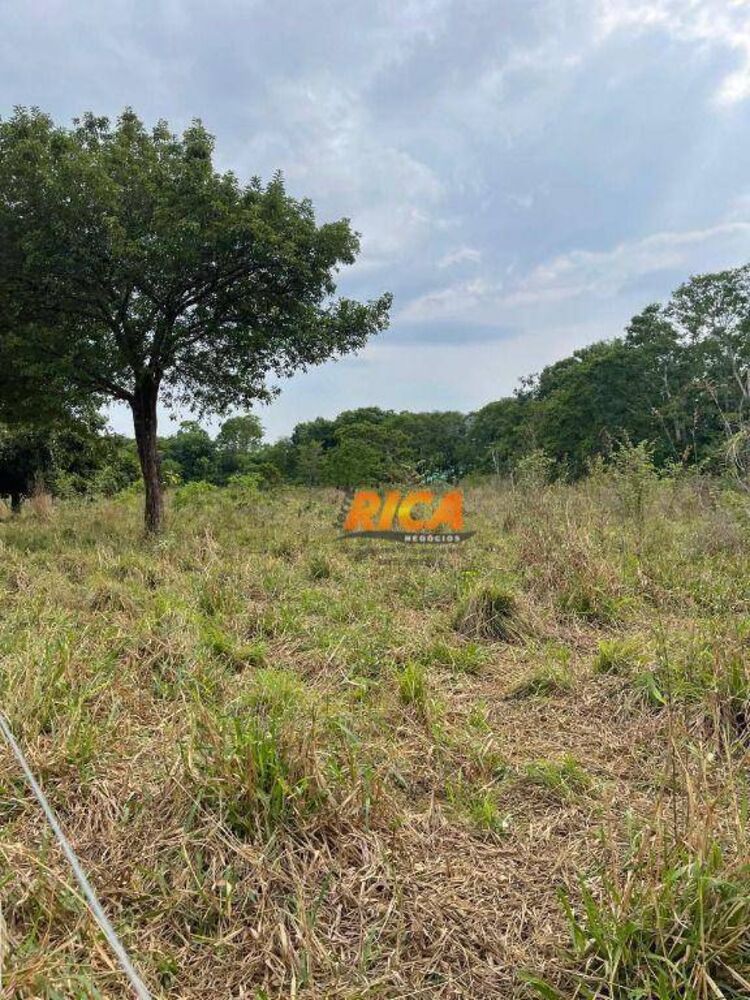 Fazenda, 6 hectares - Foto 31