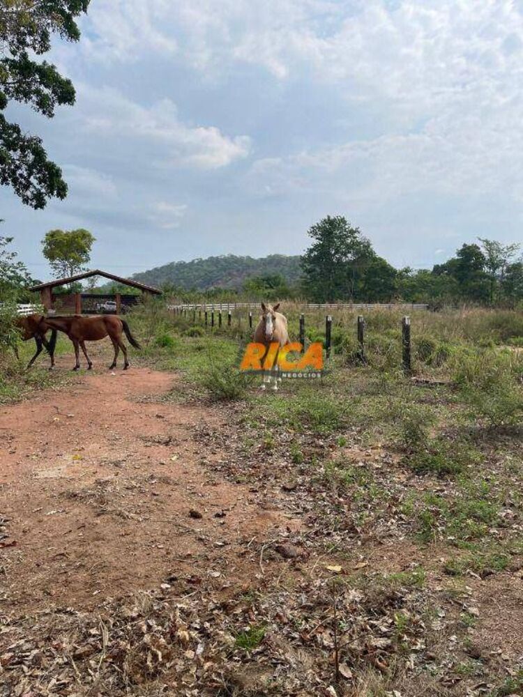 Fazenda, 6 hectares - Foto 27