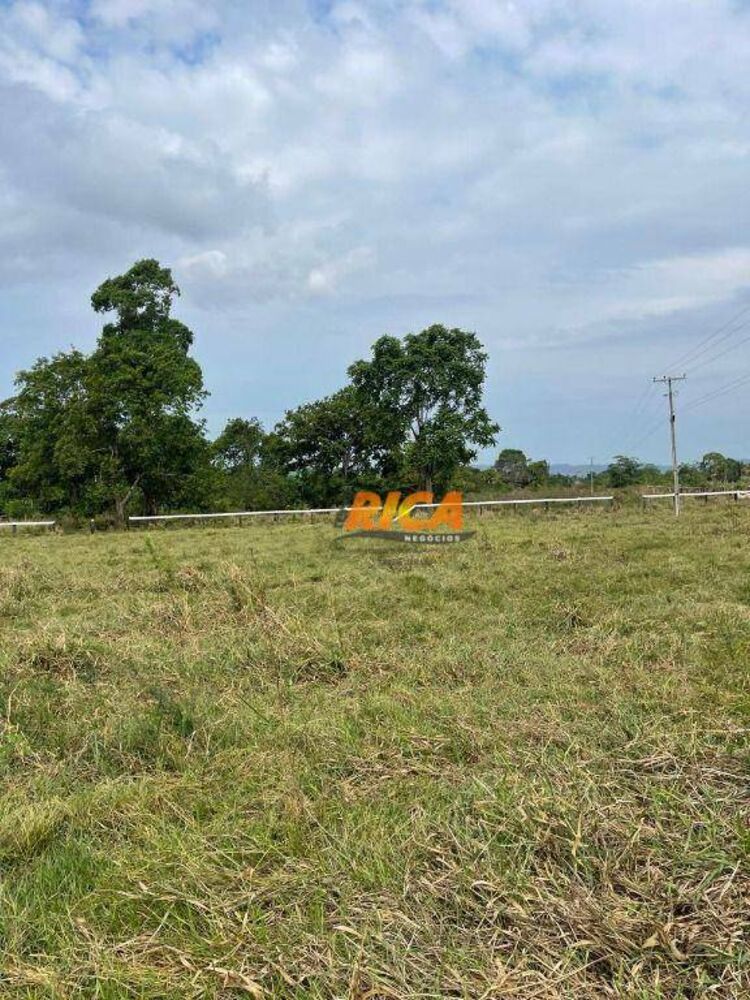 Fazenda, 6 hectares - Foto 20