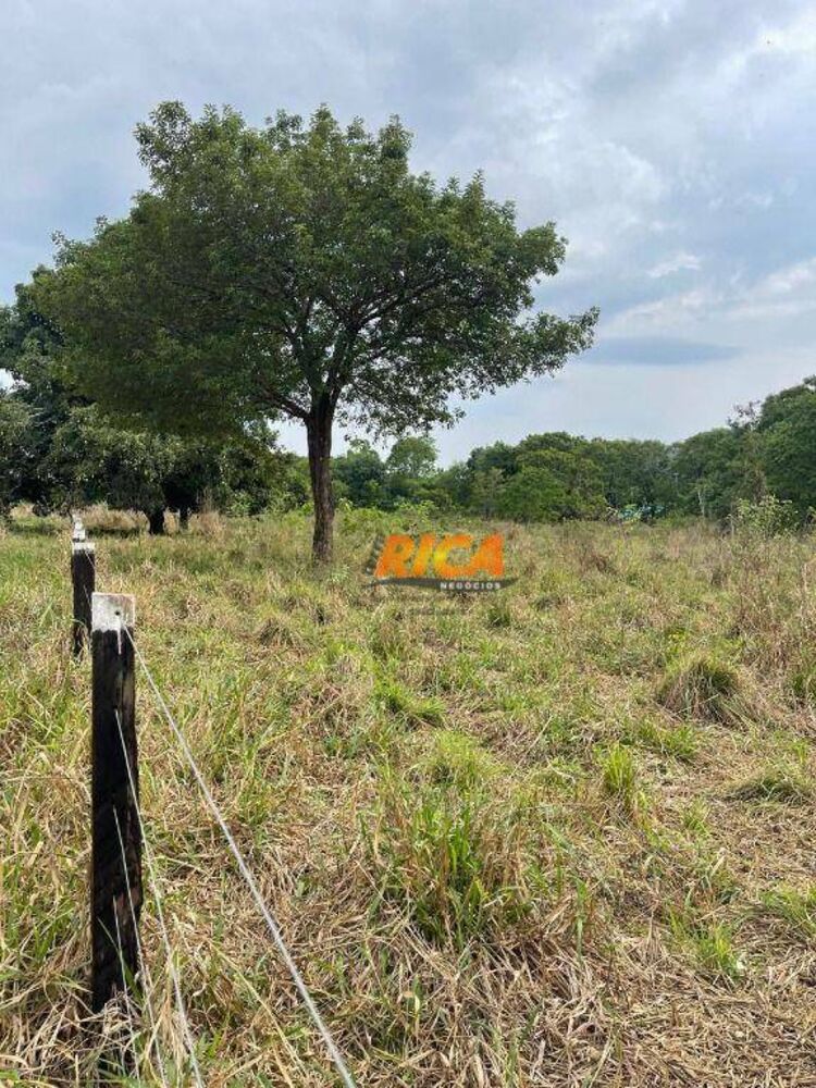 Fazenda, 6 hectares - Foto 32